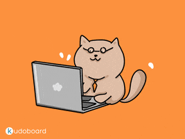 Kudoboard keyboard cat cat with glasses cat typing office cat GIF