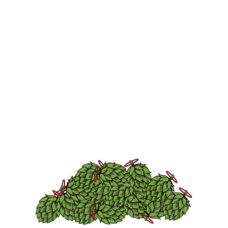 cervezabeata giphyupload lupulo beata momentobeata Sticker