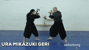 martial arts fight GIF by AKBAN Academy