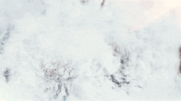snow wisconsin GIF by uwmadison