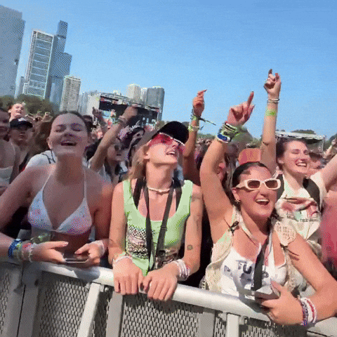 Chicago Illinois Fans GIF by Respective
