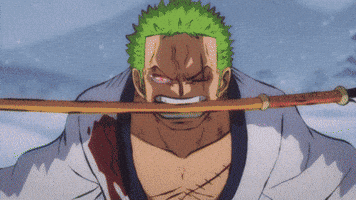Mad One Piece GIF by Toei Animation