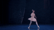 Nutcracker GIF by English National Ballet
