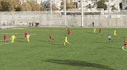 Mzyavne GIF by maccabi zvi yavne
