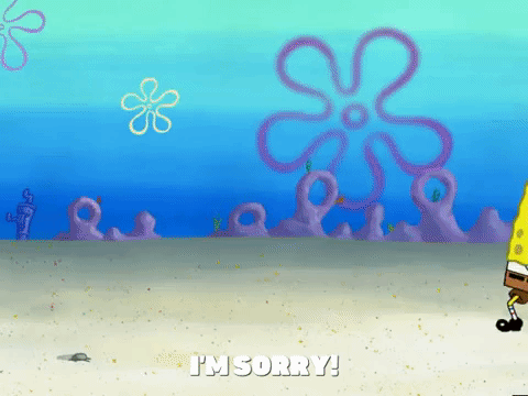 season 5 GIF by SpongeBob SquarePants