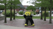 Wu_Shock tired relax wu wsu GIF