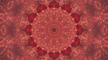 rachel dratch lns210 GIF by truTV's Late Night Snack