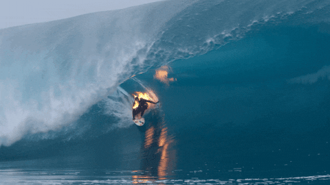 surfer GIF