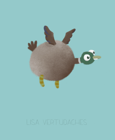 animation bird GIF by Lisa Vertudaches
