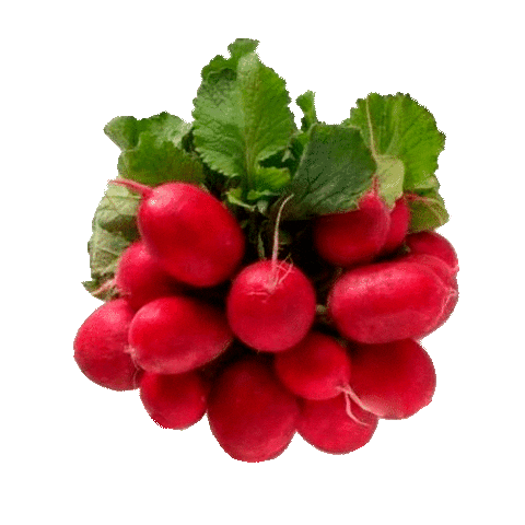 Byoode giphyupload Sticker