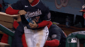 Regular Season Win GIF by MLB