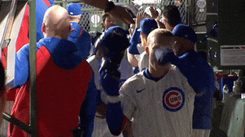 Chicago Cubs Sport GIF by TheDreamTeam 