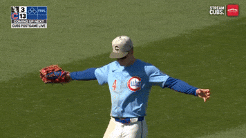 Cubs Hug GIF by TheDreamTeam 