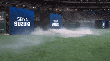 Chicago Cubs Sport GIF by MLB