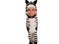 Zebra Sticker by CANALTVDIAMONDTEEN
