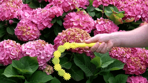 whip GIF