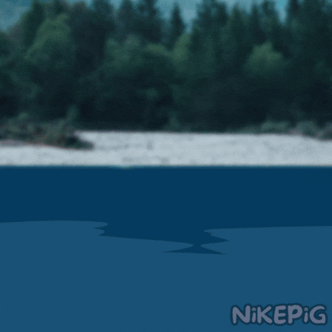 Drive Fast On The Water GIF by Nikepig