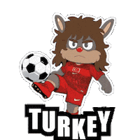 Fifa World Cup Football Sticker