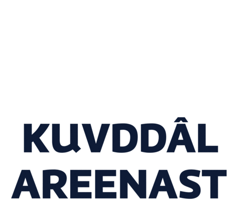 Yle Yleareena Sticker by Yleisradio