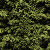 stoned way GIF