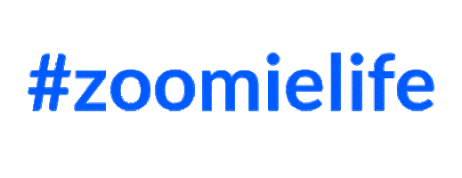 Zoomielife Sticker by Zoom