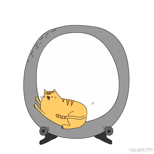 fat cat GIF by Animation Domination High-Def