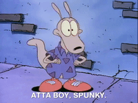 rockos modern life nicksplat GIF