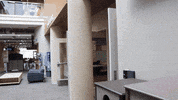 Save The Earth College GIF by University of Wisconsin-Stout