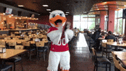 FollowStevens excited clap congrats congratulations GIF