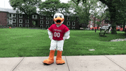 FollowStevens time duck waiting tick tock GIF