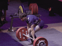 France Pana GIF by SBDApparel