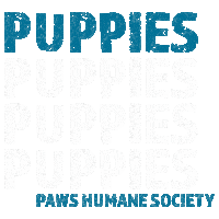 Phs Sticker by Paws Humane Society