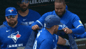 Blue Jays Baseball GIF by Toronto Blue Jays