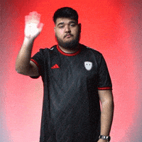 Wave Hello GIF by SINNERS Esports