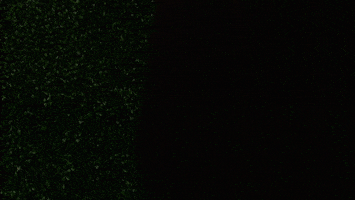 K-Pop Rm GIF by The Late Late Show with James Corden