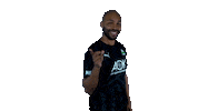 E-Sports Fifa Sticker by Borussia Mönchengladbach