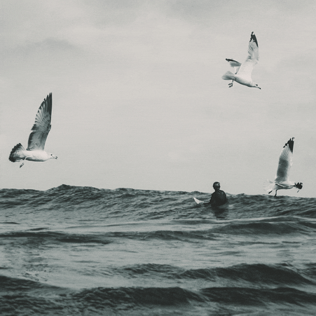 waves surf GIF by Evan Hilton