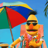 Summer Beach GIF by Sesame Street