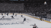 hockey save GIF by Capitals