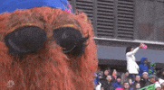 Sesame Street GIF by The 96th Macy’s Thanksgiving Day Parade