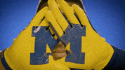 Go Blue College Football GIF by Michigan Athletics