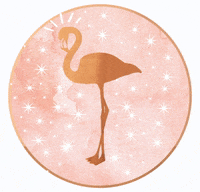 TheCoolCalmCollected love happy girl beauty GIF