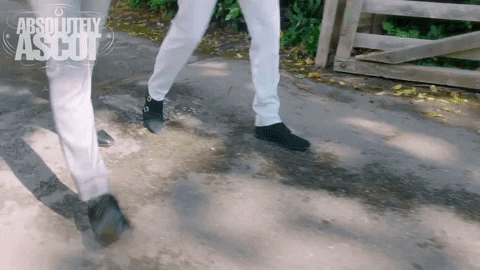 Go Away Lol GIF by Absolutely Ascot