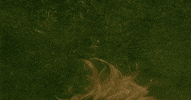 Love Songs Swimming GIF by Alec Wigdahl