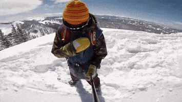 Backcountry_Access ski safety avalanche bca GIF