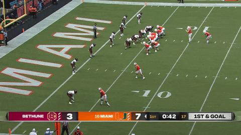 canesport giphyupload GIF
