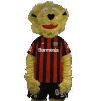 Oh No Facepalm Sticker by Bayer 04 Leverkusen