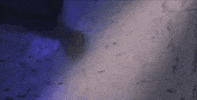 music video yes GIF by IHC 1NFINITY