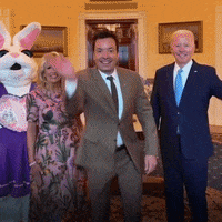Jimmy Fallon Hello GIF by The Democrats