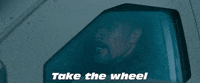 Fast And Furious No GIF by The Fast Saga